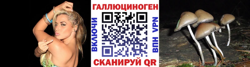 Псилоцибиновые грибы мицелий  закладка  Новое Девяткино 